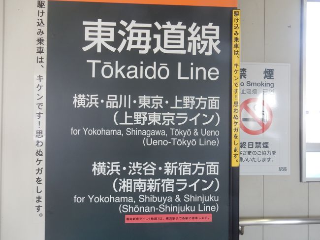 十年振りぬ友人と、浅草ランチと上野公園巡りしてきました<br />上野駅で待ち合わせし、地下鉄銀座線で浅草へ<br /><br />ランチの予約時間まで時間があったので近くを散歩です<br />桜にはチョイ早かったです