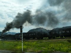 観光列車大集合～～。観光列車サミットin人吉球磨＠桜はまだの熊本へ　その3