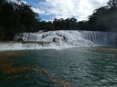 メキシコ パレンケ郊外 (Misol-Ha/Aqua Azul/Palenque, Chiapas, Mexico)