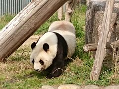 王子動物園