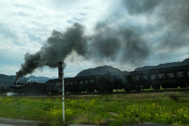 観光列車大集合～～。観光列車サミットin人吉球磨＠桜はまだの熊本へ　その3