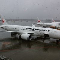 成田空港ラウンジめぐり、JAL機内。　メルボルン到着まで