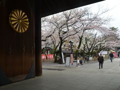 東京散歩　靖国神社に桜を見に行きました。