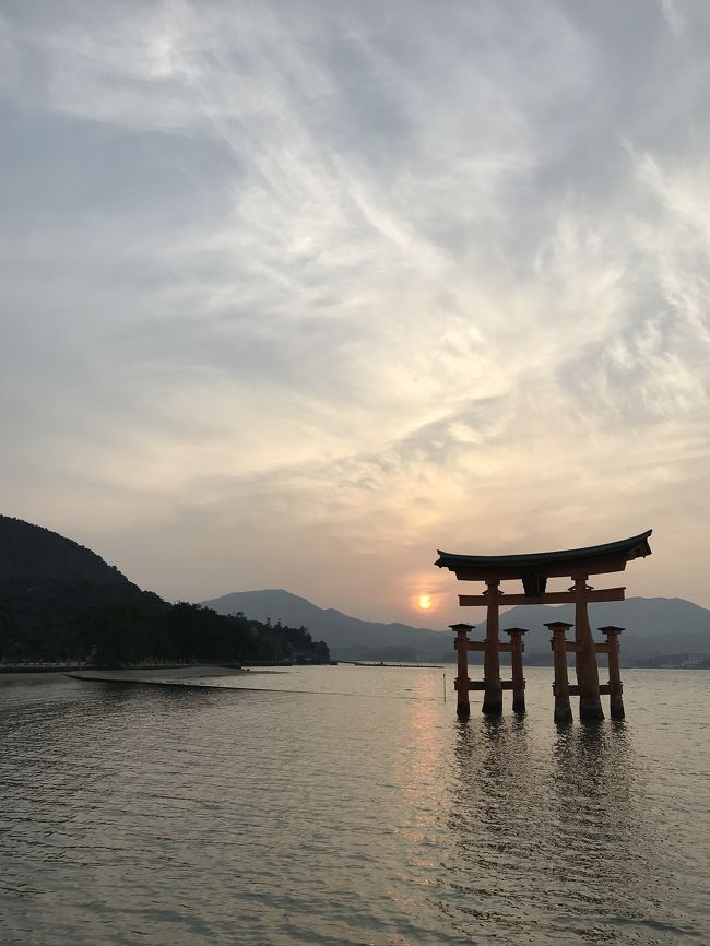 宮島で鹿と鳥居見て山の上まで行ってきました。広島市内ではお好み焼き食べて，縮景園でお花見できました。