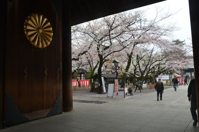 早めの朝に靖国神社に行きました。<br />雨は上がりましたがまだ肌寒かったです。<br />ほぼ満開の桜は大変きれいでした。<br /><br />https://youtu.be/gnwacKLLNxU