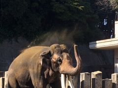 金沢動物園へ行ってみた