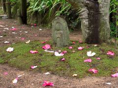 国宝・新薬師寺と椿咲く白毫寺へ