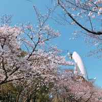 花見に大阪へ①