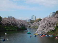 東京２０１９桜　【４】皇居