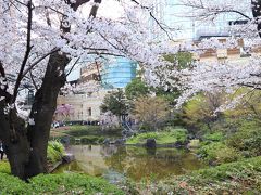 桜散歩東京、六本木ヒルズ～東京ミッドタウン・・・