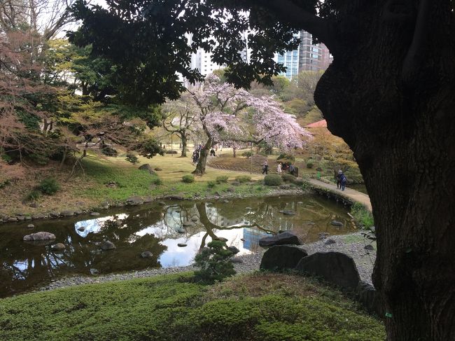 小石川後楽園を散策<br /><br />都会の中に広がる自然をのんびり散策<br />桜はまだ7分咲き程度<br /><br />外堀通りをぬけて、<br />靖国神社で御朱印をもらい千鳥ヶ淵へ<br /><br />千鳥ヶ淵は人混みがすごかったので<br />一本中の道を永田町方面へ<br /><br />人混みが少なくなった公園でさくらを<br />見ながらぷらぷらし永田町から帰宅