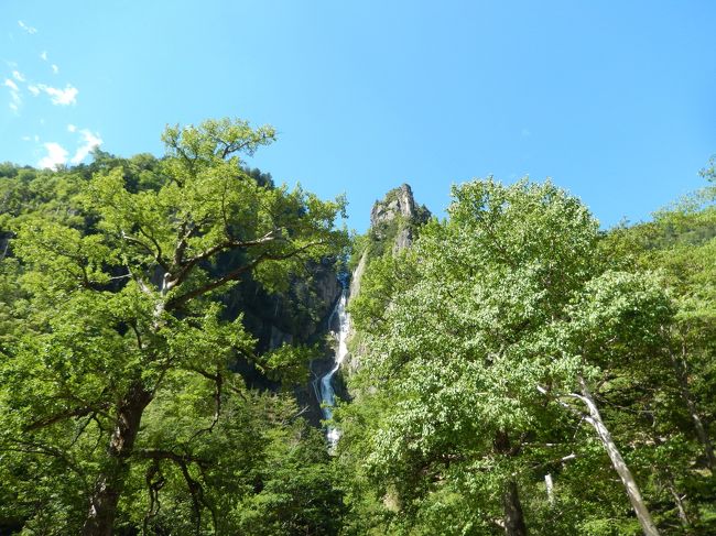 阪急ツアーで北海道に行きました。富良野、阿寒湖、知床などを巡りました。