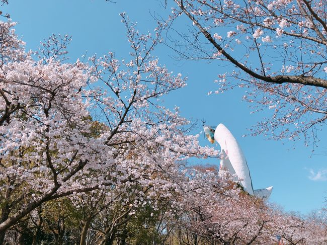 花見に行きたいね～どこ行く？<br />と朝に話をして、そのままドライブ<br />名古屋の予定が大阪に<br />「そうだ！太陽の塔を見に行こう！」<br />になりました。