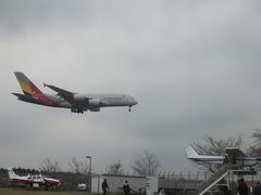 桜と飛行機を見に行って､成田空港A滑走路を一周してしまった…