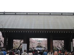 東京都心の花見名所へ～靖国神社～