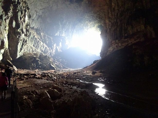 今回の旅はボルネオ島（マレーシア）だけです。<br />今日はグヌン・ムル国立公園を一日楽しみます。<br /><br />★ボルネオ島（マレーシア）の旅<br />3.15　シンガポール～コタキナバル（ボルネオ島：マレーシア）<br />3.16　キナバル自然公園（ボルネオ島：マレーシア）<br />3.17　コタキナバル（ボルネオ島：マレーシア）<br />3.18　コタキナバル～グヌン・ムル国立公園（ボルネオ島：マレーシア）<br />☆3.19　グヌン・ムル国立公園（ボルネオ島：マレーシア）<br /><br />１マレーシアリンギットMYR≒\30<br /><br />参考：地球の歩き方<br />　　　世界遺産アカデミー