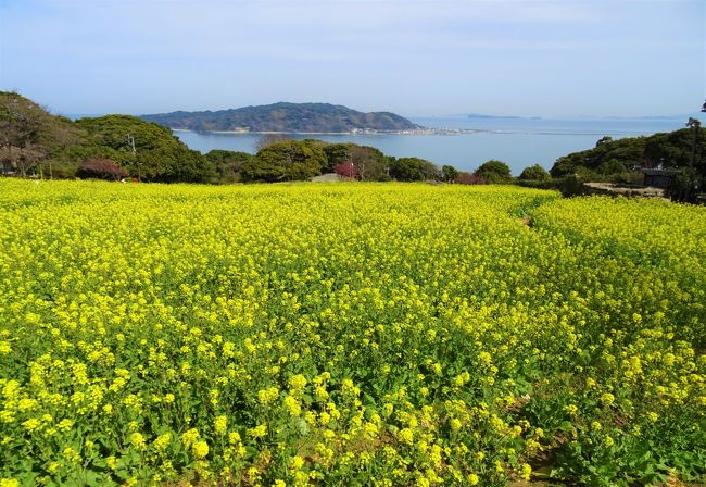 「能古島」<br />博多湾にぽっかり浮かぶ能古島は<br />周囲12キロ　人口７００人の小さな島です。<br />美しい自然と　防人が置かれ　万葉集にも～。<br />そんな　豊かな歴史に彩られて　<br />島内では光と緑と海風を感じながら　<br />心穏やかに癒してくれる　大自然がありました。<br /><br />貸自転車あり　１時間３００円<br />タクシーあり　０９０１８７１７６６<br />西鉄バスあり　０５７０００１０１０<br />臨時バス随時増便あり<br /><br />博多往復フェリー　姪浜発始発５時１５分～<br />　　　　　　　　　能古島発始発５時～<br />所要時間１０分　０９２８８１８７０９