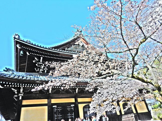 桜の開花に合わせて上京。<br />混むのは覚悟の上でしたが…<br />食事にありつくまでの苦労がハンパなかった。<br />『花より団子』の私たちにとって、<br />思い出に残るお花見となりました(笑)