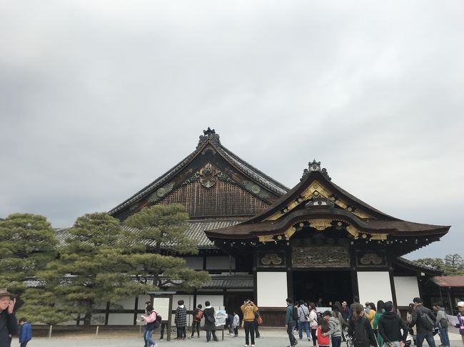 小雨の降るなか、二条城から京都水族館、京都鉄道博物館へ行ってきました。<br />いずれも1～2年のあいだに行ったことがあるのですが何度行っても楽しいところですね！