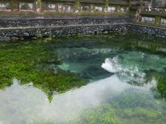 母は初、娘は２度めのバリ島二人旅　３日目