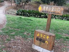 桜最前線の箱根山へ登山、えっ標高44m？山麓には万年湯っ新大久保って？？、反省会って新宿西口の横丁？の登山ツアー