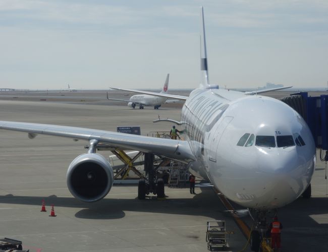 今年3回目の海外旅行。いずれも，中部国際空港発のファインエアーで出国です。機材も同じエアバスA330。サービスも同じ。飽きてきますね。