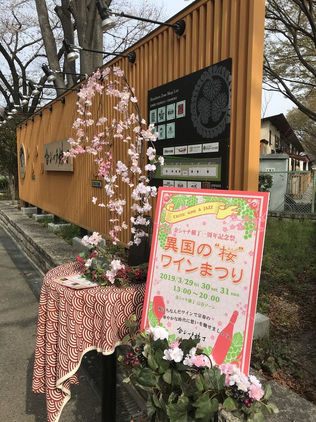 名古屋城、金鯱横丁から見た桜&#127800;<br />まだ三分咲き