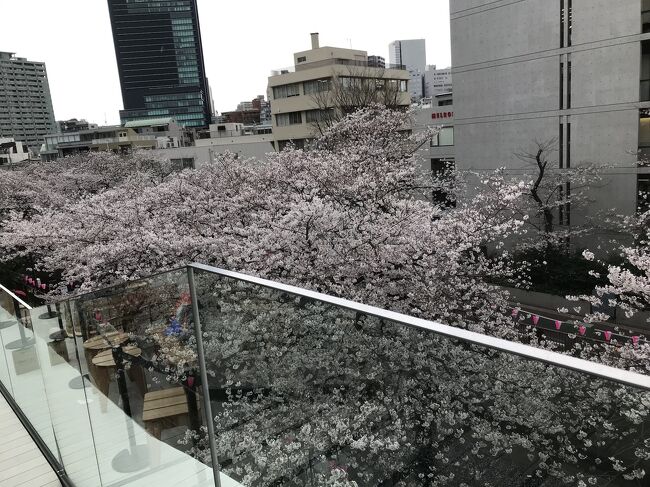 2019年2月28日、世界で5番目の「スターバックス リザーブ ロースタリー 」が東京、目黒に開店しました。<br />新しもの好き、としては行かなくては！