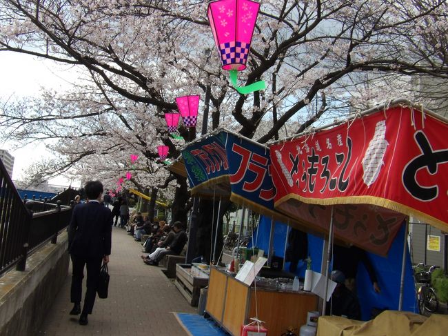 　開花（3/21）から10日経った3月30日（土）は戸塚桜まつりで、大勢の人たちが桜見に訪れていたが、柏尾川の染井吉野は5、6分咲きといったところだ。それでも、今年は桜が開花している時期にまつりが行え、河川敷でも踊りなとも行われ、華やいでいた。<br />　4月1日となった今日は午前中は春の日差しもあるのがだ、風は冷たい。桜の開花もまだ満開となっている木はそれほどもなく、6、7分咲きといったところだ。開花から12日も経つのに満開にならなかった年があっただろうか？おそらくは、ここ数日は冬の気候に逆戻りするという予報であるから、ここ柏尾川の桜が満開になるのは開花から2週間後かそれ以降になるようだ。それでも大勢の人たちが桜見に訪れている。午後からは曇り、肌寒くなり、2時頃からは雨が降り出した。まさに、桜の満開は今日ではなく、もう何日後だといっているようだ。今年は露店も2週間は稼げるということだ。<br />（表紙写真は柏尾川の露店）