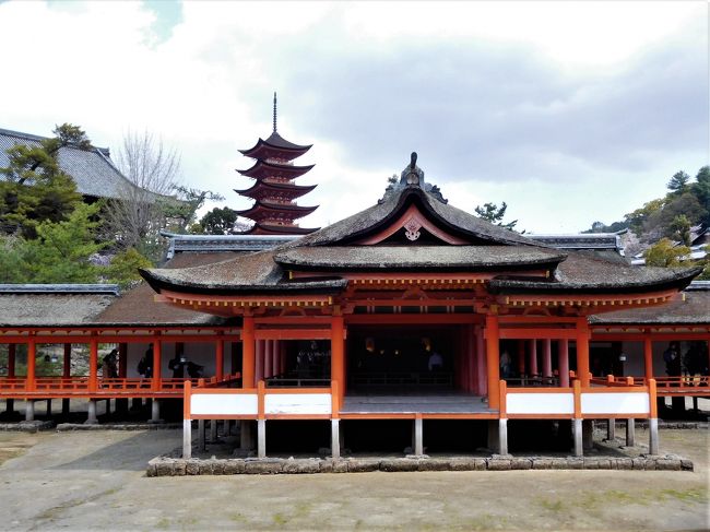 ツアーで広島県の宮島と山口県岩国市の錦帯橋に行きました。<br /><br /> こちらは宮島口からフェリーに乗り宮島に移動、早めのランチ、厳島神社参拝までを掲載しています。<br /><br />日曜日だったのと桜の季節なのですごい人でした。<br /><br />厳島神社の御社殿の創建は推古がんねん(593)で、仁安3年(1168)に平清盛公が現在の規模に造堂。 <br />平成8年(1996)12月にユネスコの世界文化遺産に登録されている。<br /> 宮島は昔から神の島として崇めらていたので御社殿を海水のさしひきする所に建てたと言われています。<br /><br />