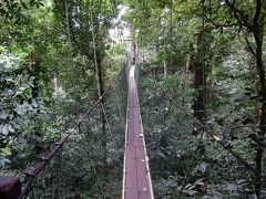 グヌン ムル国立公園周辺に関する旅行記 ブログ フォートラベル マレーシア Gunung Mulu National Park