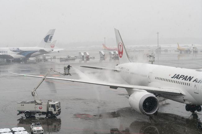 成田にて前泊し、起きてみたら外は雪...<br />新潟はあまり雪が降っていなかったのですが、こんなところで雪に会うとは...<br />今日はきちんと飛行機が出るのかなぁとちょっと不安になりつつ、朝食を済ませ、チェックアウト。そしてシャトルバスに乗って成田空港へ。<br />成田空港までの道のりは、雪が降っているものの積もっておらず、バスも問題なく通行できました。<br />そして成田空港着。<br />今回は成田空港の第2ターミナル。そして30年ぶりくらいの日本航空でのフライトです。<br />ここ最近海外へ行くときは、外国の航空会社ばっかり使っていましたのでちょっと嬉しい。<br />早速中に入り、まずは自動チェックイン機にてチェックインし、ツアー用のカウンターへ。連休を利用してのツアーの参加者、結構多くいますね。もちろんオーロラツアーも多くの方が参加していました。<br />そしてツアーだとなかなか座席が選べないということがありましたが、事前にオンラインチェックインを行い座席の指定を受けているので、すでに座席も確定。ツアーの場合でもこんな形で座席指定できるのですね。<br />そしてツアー用のカウンターで案内や荷物タグを受け取り、ツアー用の預け荷物用のカウンターに持っていき、これで準備完了です。<br />さて、このあとどうなるか、雪の影響はどうなのか!?<br />https://youtu.be/e7GYGWv3BnU<br /><br /><br />フィンランドのオーロラを求めて(0日目 成田へ前泊移動編)<br />https://4travel.jp/travelogue/11463102<br /><br />フィンランドのオーロラを求めて(1日目 ヘルシンキ~イヴァロ~サーリセルカ)<br />https://4travel.jp/travelogue/11480736<br /><br /><br />