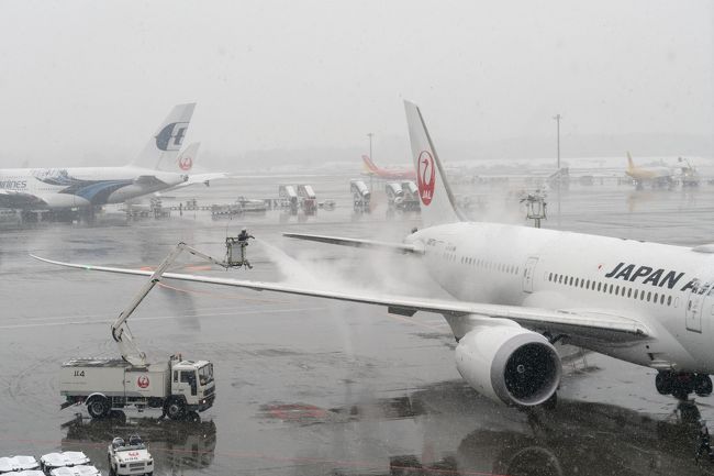 フィンランドのオーロラを求めて(1日目 雪の成田～ヘルシンキへ)