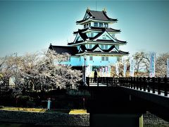 墨俣・一夜城の桜 