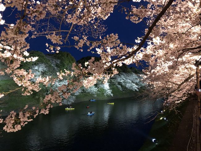 去年も見に行った皇居乾通りの桜…<br />今年の公開は少し遅めで3/30~4/7…<br />タイトルを平成最後て付けようとしましたが、4/1に元号が発表されちゃいまして…<br />皇居のついでに2月に行った紀尾井町弁慶濠の桜と千鳥ヶ淵の夜桜も一緒にお花見してきました…<br />天気イマイチだったからか、去年の方が咲いていたような…<br />最終日の4/7は良いんじゃないですか…