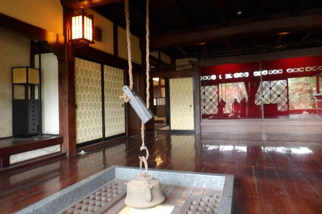鎌倉山1にある(仮称)扇湖山荘庭園は、長尾家の別荘として昭和9年(1934年)に、飛騨高山の民家を移築・改築したとされるが、改築の方がメインであろうか。長尾欽弥・よね夫妻が住んだ。長尾欽弥(明治25年(1892年)~昭和55年(1980年)、享年89歳)はビールの絞りかすより製薬した総合保険薬「わかもと」を製造・販売する製薬会社の創業者で、巨万の富を得ることになった。欽弥・よね夫妻に関する経歴は(http://nagao-bekkan.image.coocan.jp/wakamotoM.html、http://nagao-bekkan.image.coocan.jp/honbetuMs.html)に詳しいが、よほどレベルのない者の文章であろうか、重複が多く、それでいて欽弥の没年も示されていないのであるから、経歴書では有り得ないことなので驚いてしまった。<br /> 鎌倉散策ではこうした3流以下のレベルの人が掲載しているWebや、途中の峠のバス停で「鎌倉山の下町の住人」というおじさんから「森下仁丹の創業者の家」と聞かされたが、こうしたことも正確な情報が得られない要因でもある。勿論、何と言っても寺社やこうした民家は公開されないことが多い。<br /> 扇湖山荘は平成22年(2010年)10月に鎌倉市に寄付され、平成25年(2013年)秋から応募者抽選で公開され、一昨年からは鎌倉市民に限定して公開され、昨年からは春と秋に一般公開されるようになったのだという。昨年の一般公開の情報は見落としていたことになる。それでも10年前から気になっていたお屋敷が見られるのであるから嬉しいことだ。<br /> 兼松琵琶苑住宅から鎌倉山さくら道に出ると私の前を歩くシニアの方がいる。峠の下で声を掛けた。「どちらへ行かれるのですか?」「この道の桜を見ようと。」「今日はこれから薬品会社の創業家が建てたお屋敷の公開がありますから、一緒に行きませんか?」「ご一緒します。」この方は幸運にも、4室も茶室が並ぶ伏見亭や、開花している鎌倉最大の枝垂れ桜(https://4travel.jp/travelogue/11474319)、それに贅を尽くした母屋(本館)を無料で見学できたのであるから、ラッキーである。扇湖山荘庭園を出た後はこの母屋(本館)と似た構造の旧松本烝治邸(https://4travel.jp/travelogue/10752617)が見える向かいの尾根の紅枝垂れ桜のあるお宅の前(https://4travel.jp/travelogue/11342672)に案内した。「憲法草案を書いてマッカーサーに蹴られたあの松本烝治氏のお宅ですか?」2時間弱ご一緒したが、聡明な方だ。一般には憲法の松本草案など知る人など少ない。ここで鎌倉市内では良く見られる紅枝垂れ桜の大きさも実感することができた。<br /> 長尾欽弥はその巨万の富でこの別邸「扇湖山荘」を建てた。敷地は周囲の山々を含め大凡13万坪であったが、昭和35年( 1960年)頃に母屋と主庭園を残し、周囲の山や麓の庭園が売却された。そのため敷地は1万5千坪程度に減少した。それでも鎌倉市内では3番目の富士塚(鎌倉富士)も残っている。<br /> 建物(建坪470坪)は贅を尽くしているが、庭の広さだけではなく、おそらくは枝垂れ桜も相当の古木を移植したのであろう。根元も太く、高さもある。しかし、いかんせん古木である。平成29年(2017年)の開花時の写真があるが、今年はもう開花済みで一昨年の4割程度の花の量か。しかし、昨年の春も来たという人は、「去年は枯れていた。1輪も咲いていなかった。」という。古木過ぎて毎年はたくさん咲く訳ではないようだ。<br />(表紙写真は扇湖山荘)