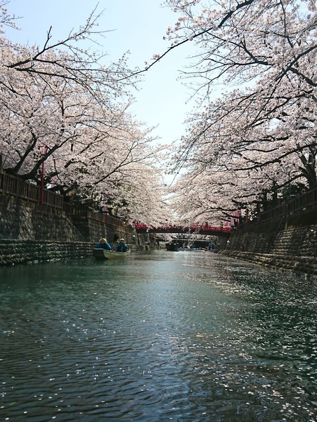 日帰りでの岐阜県大垣市とその周辺を観光。<br />桜の美しい季節と水の都の美味しいお酒を満喫しました。