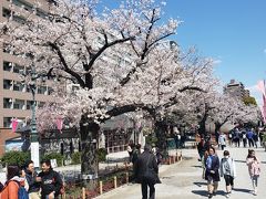 東京観光