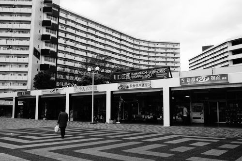 川口市2(西部)・蕨市 201909 インスタ映え】西川口同様中国化激しい街・蕨にも爆誕、中華甘味