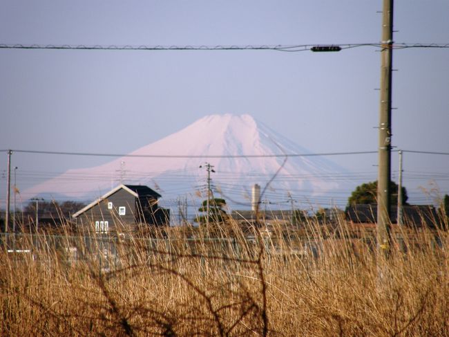 <早朝ウォーキング花紀行・・・2><br />春のウォーキングは、野草や木々の花が見ながら歩けるので楽しい。<br />リハビリで歩けと言われても、なかなか乗れないが・・・<br />木々の花や、野草・コース沿いの屋敷内の草木の花々等々、時間を忘れて歩きながら楽しむことが出来ます。<br />特に、早春は、ウォーキングコース上で、沢山の木の花・野草が沢山見られ、時間を忘れ、歩数を延ばすことが出来て一挙両得の気持ちです。<br />そんな草木の花々をウォーキングコースに沿って楽しみながら、歩いてみました。