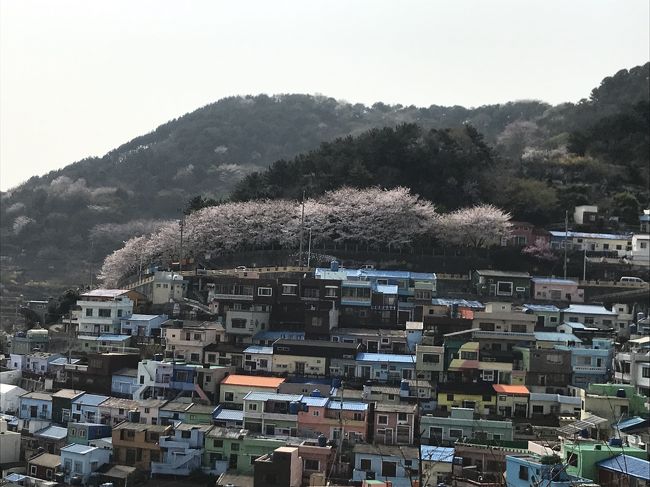 急遽思いたって２連休を使って韓国釜山へ。ソウルは2013年に訪韓。それ以来の韓国です。<br /><br />今回の旅の目的は①甘川文化村に行く②韓国グルメ堪能③海雲台を散策！<br /><br />KIX 9:55→PUS 11:22    JIN AIR<br />PUS 16:30→KIX 17:50  PEACH <br />ホテル：東横イン釜山駅前第１