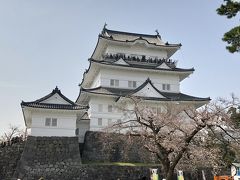 さわやかウォーキング「歴史、味、桜にふれる春の小田原」&日本100名城スタンプ集め