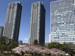 浜離宮恩賜公園ー桜の木が少なくてお花見には残念でした