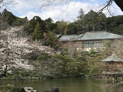 花を求めて⑧おどり花見の成田山