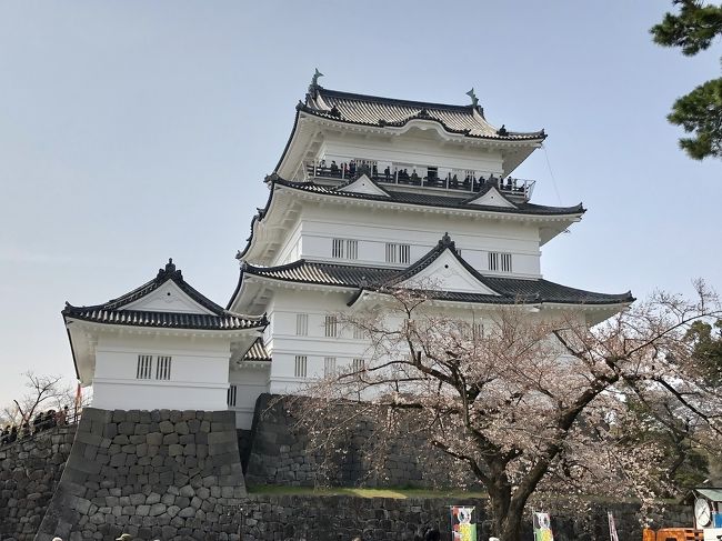 さわやかウォーキングでは珍しく関東地区で行われました。日本100名城のスタンプ集めにいい機会だと思い参加しました。