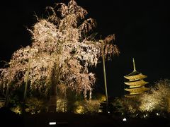 大阪ベースの京都観光2泊３日桜を求めて　１日目