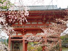 大阪ベースの京都観光2泊３日桜を求めて　2日目