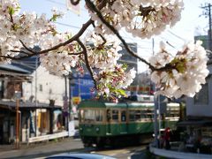 江ノ電各駅停車のお花見ツアー備忘録（藤沢～極楽寺＋鎌倉飲み）