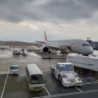 アシアナ航空で行くソウル