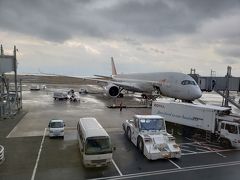 アシアナ航空で行くソウル